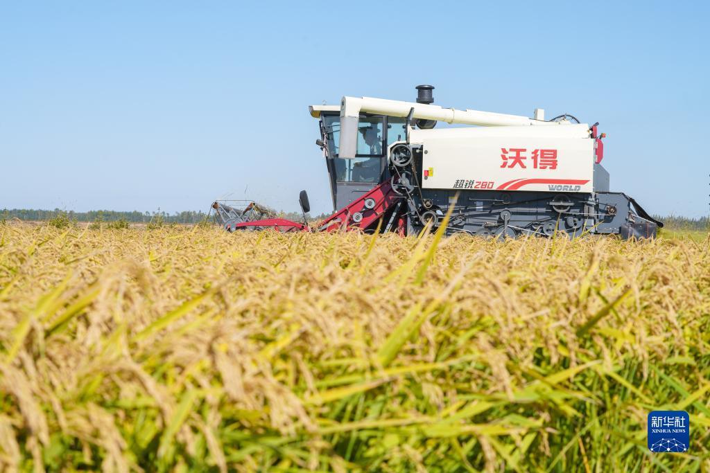 九线拉王游戏下载